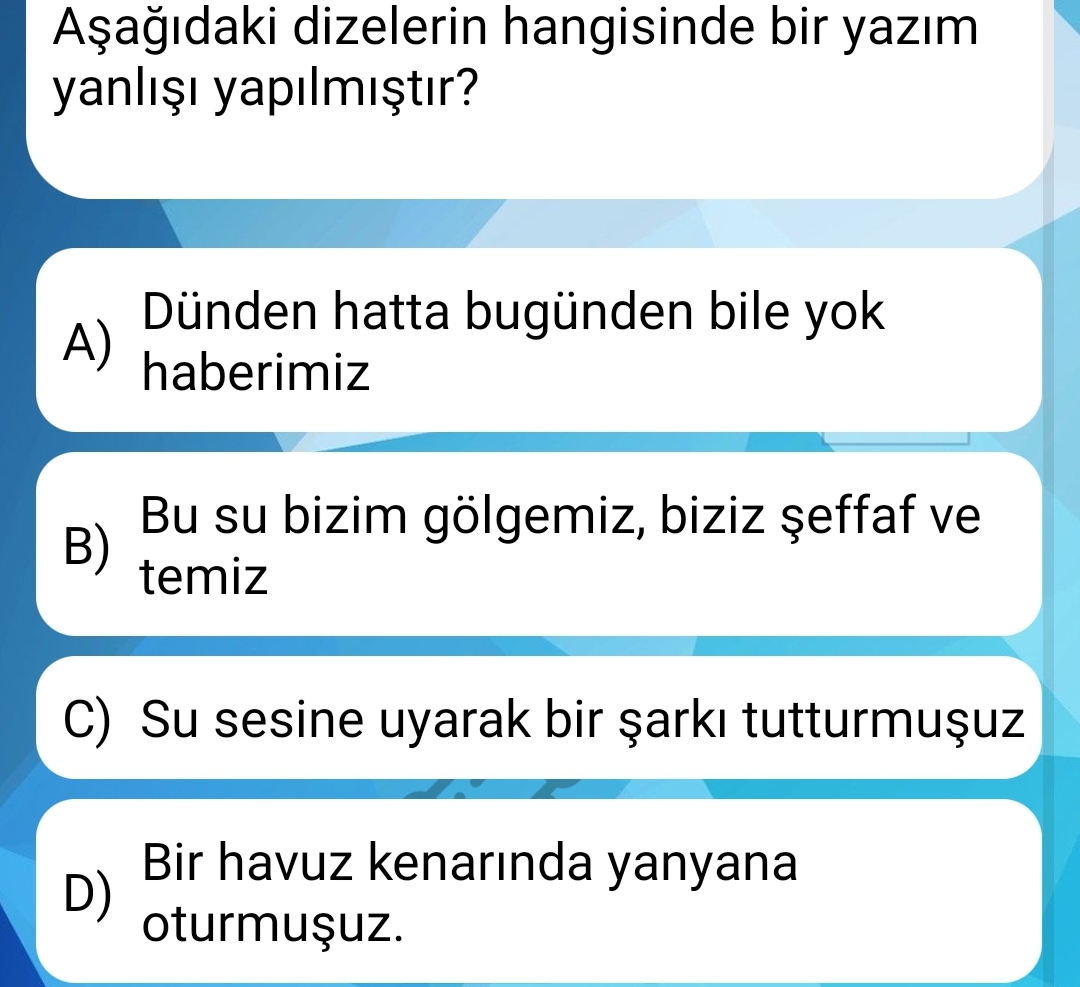 Soru Görseli